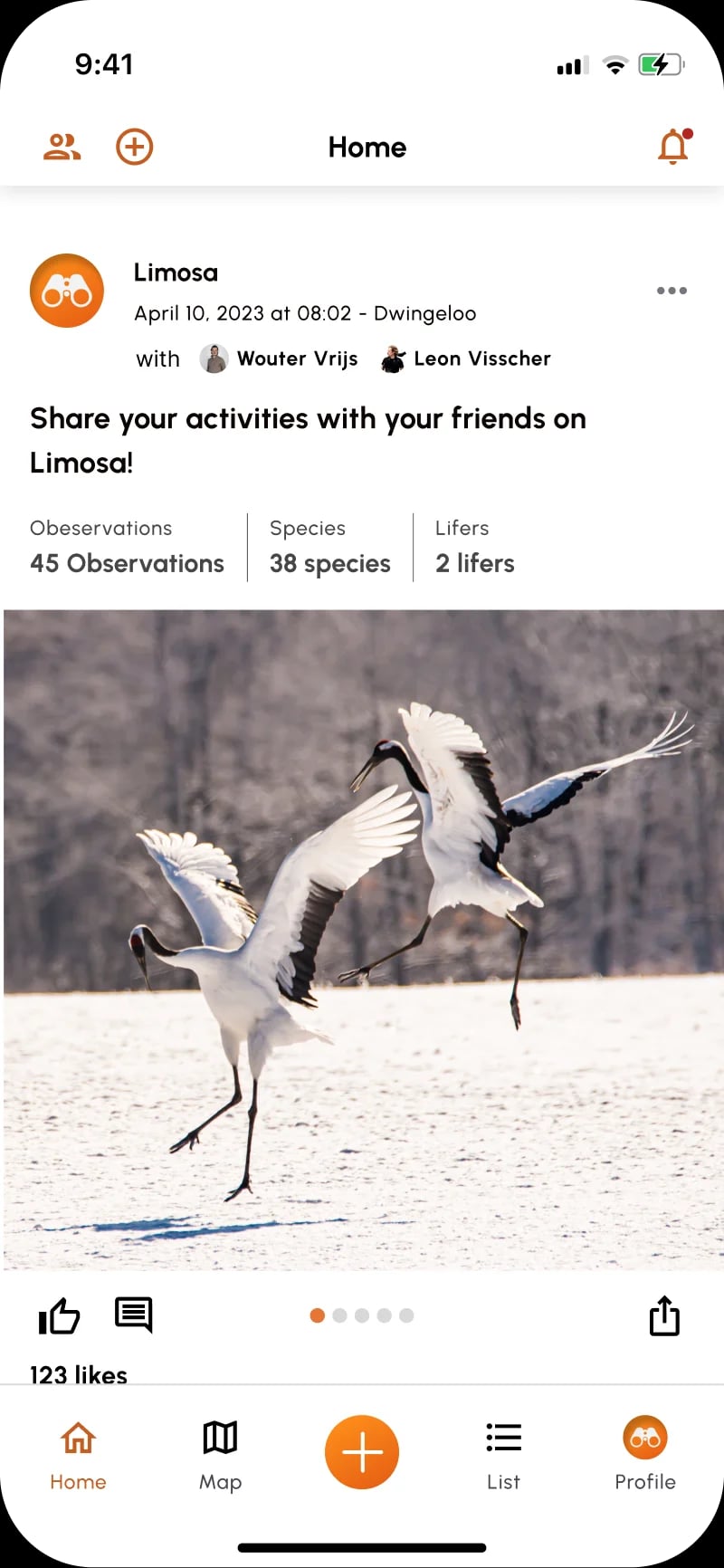 Limosa app screenshot showing bird activity feed